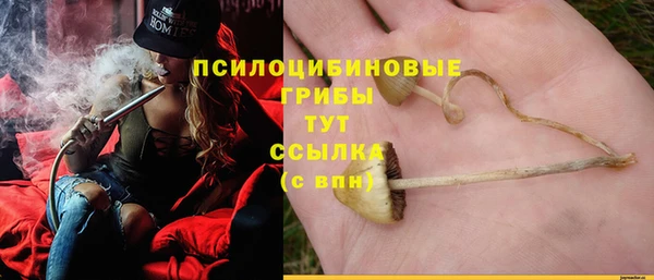 ГАЛЛЮЦИНОГЕННЫЕ ГРИБЫ Алзамай