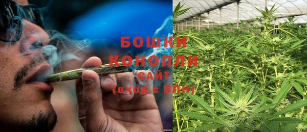 ГАЛЛЮЦИНОГЕННЫЕ ГРИБЫ Алзамай