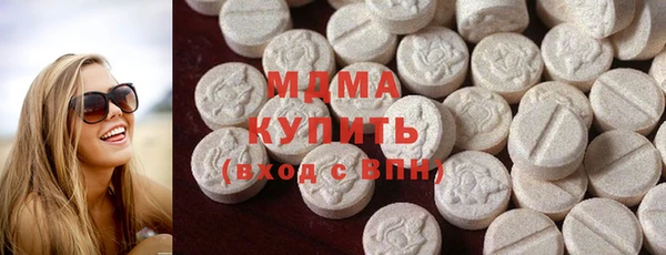 гашик Алексин
