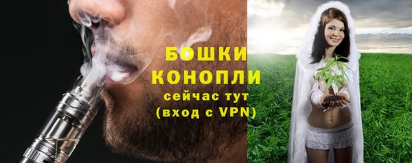 ГАЛЛЮЦИНОГЕННЫЕ ГРИБЫ Алзамай