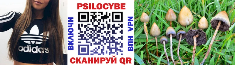 закладки  Бугуруслан  Псилоцибиновые грибы Magic Shrooms 